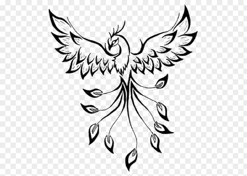 Phoenix Tattoo Flash Drawing Image PNG