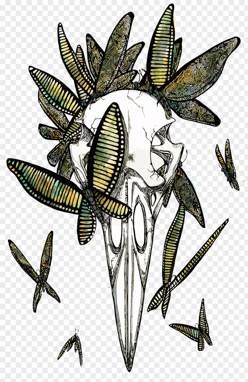 Vector Butterfly And Skeleton Drawing Painting Artist Pokxe9mon PNG