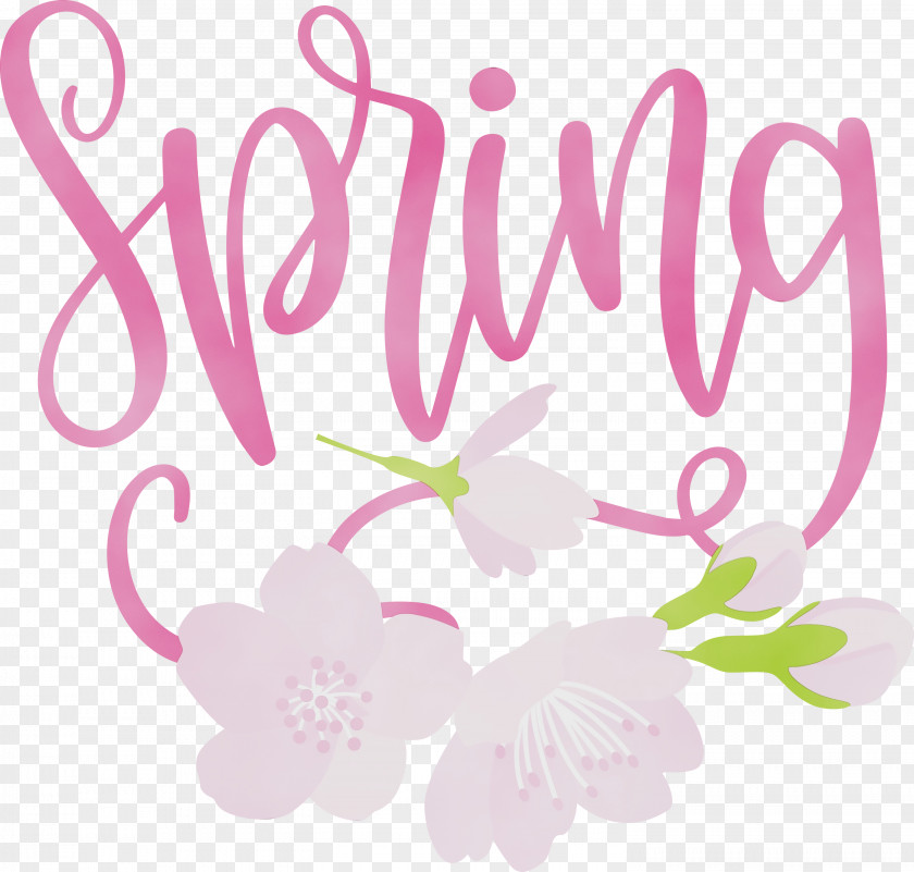 Floral Design PNG