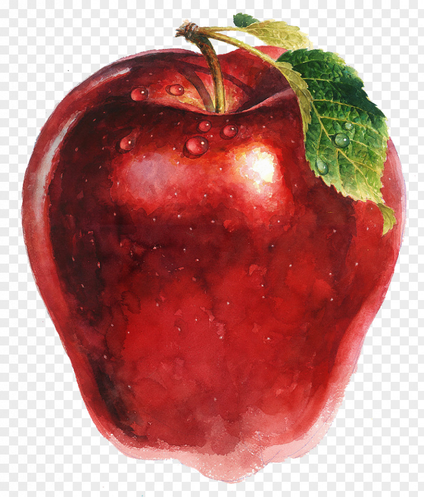 Hand-painted Apple Picture Drawing Strawberry Illustration PNG