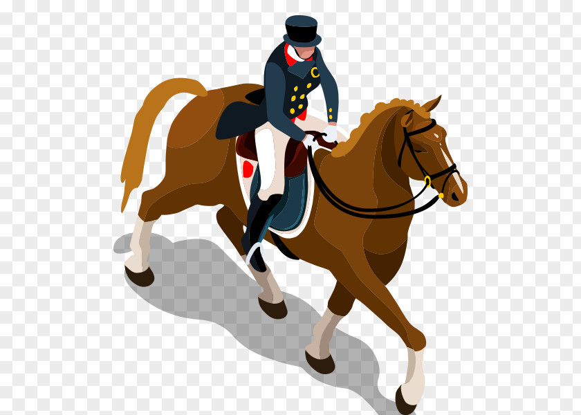 Horsemanship Summer Olympic Games Sport Equestrian PNG