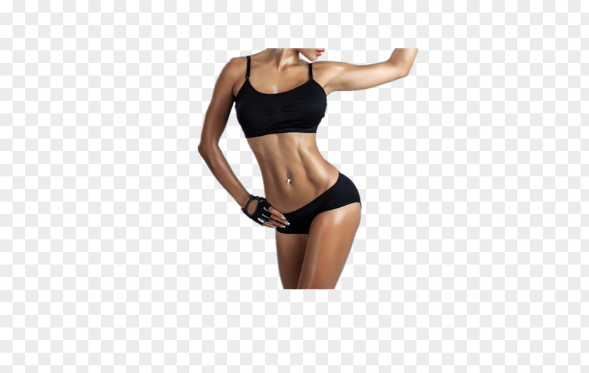 Movement Women Rectus Abdominis Muscle Bodybuilding Biceps Abdomen PNG