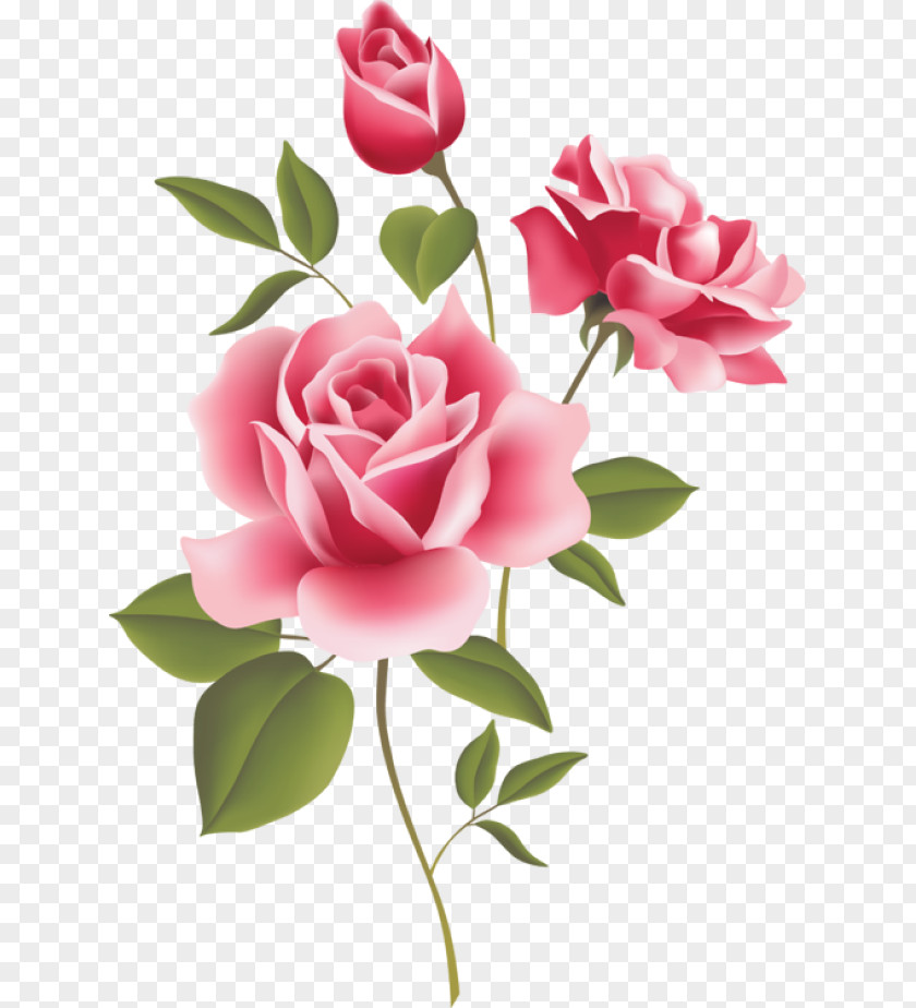 Rose Corner Cliparts Pink Free Content Clip Art PNG