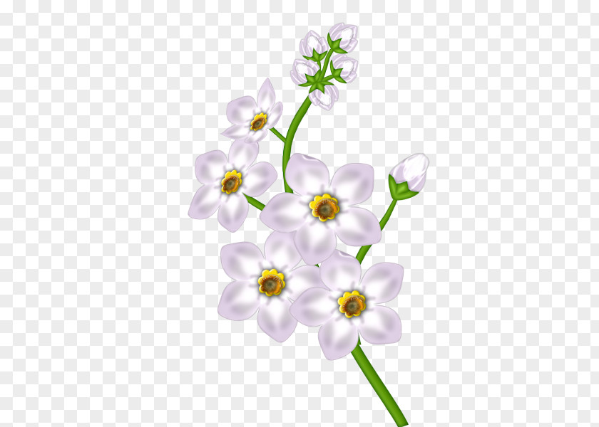 White Flower Transparent Clipart Floral Design PNG
