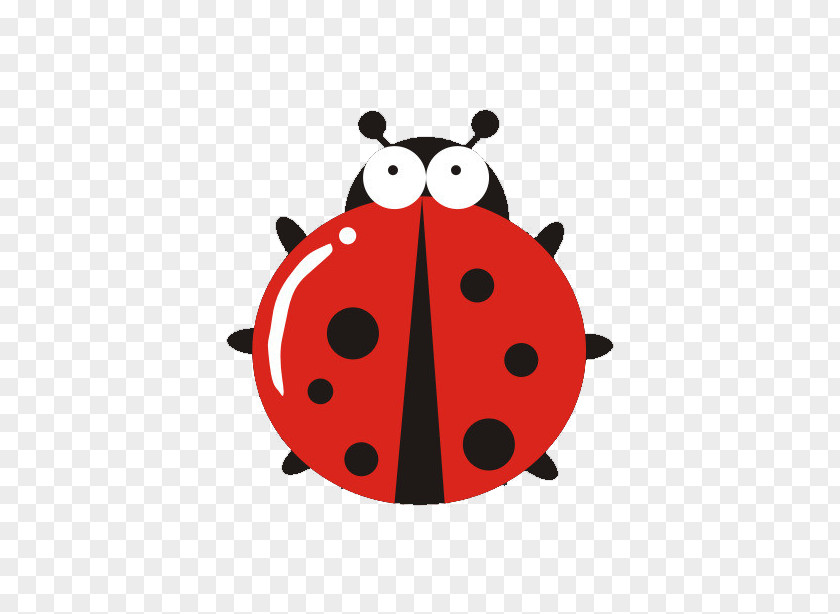 Cartoon Red Ladybug Ladybird Beetle PNG