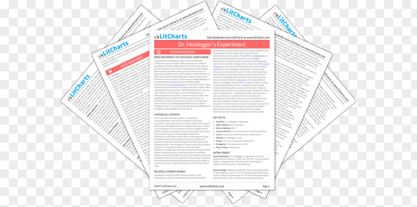 Doctor Discussion Guide The Scarlet Letter To Kill A Mockingbird Chapter Literary Criticism Nineteen Eighty-Four PNG