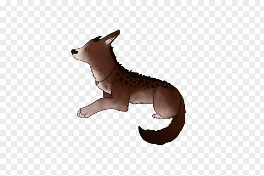 Kangaroo Red Fox Fauna Fur Tail PNG