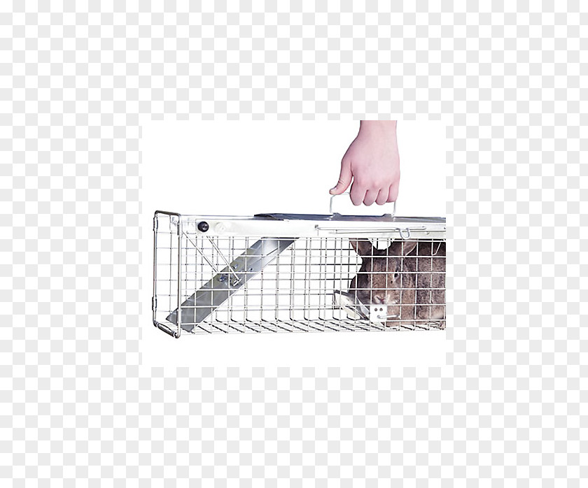 Mouse Trap Trapping Cage American Mink European Rabbit Animal PNG