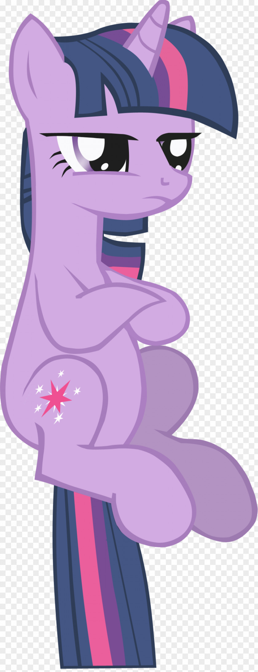 Sparkle Tornado Twilight Pony Rainbow Dash Pinkie Pie PNG