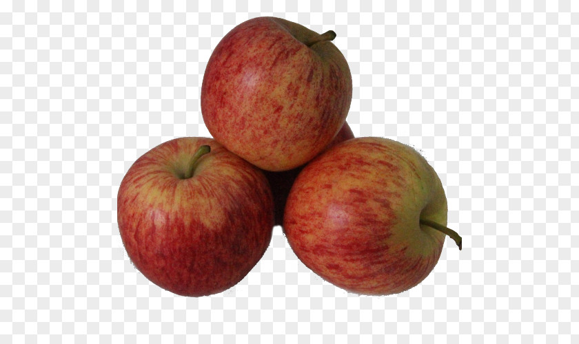 Apple McIntosh Red Gala Accessory Fruit PNG
