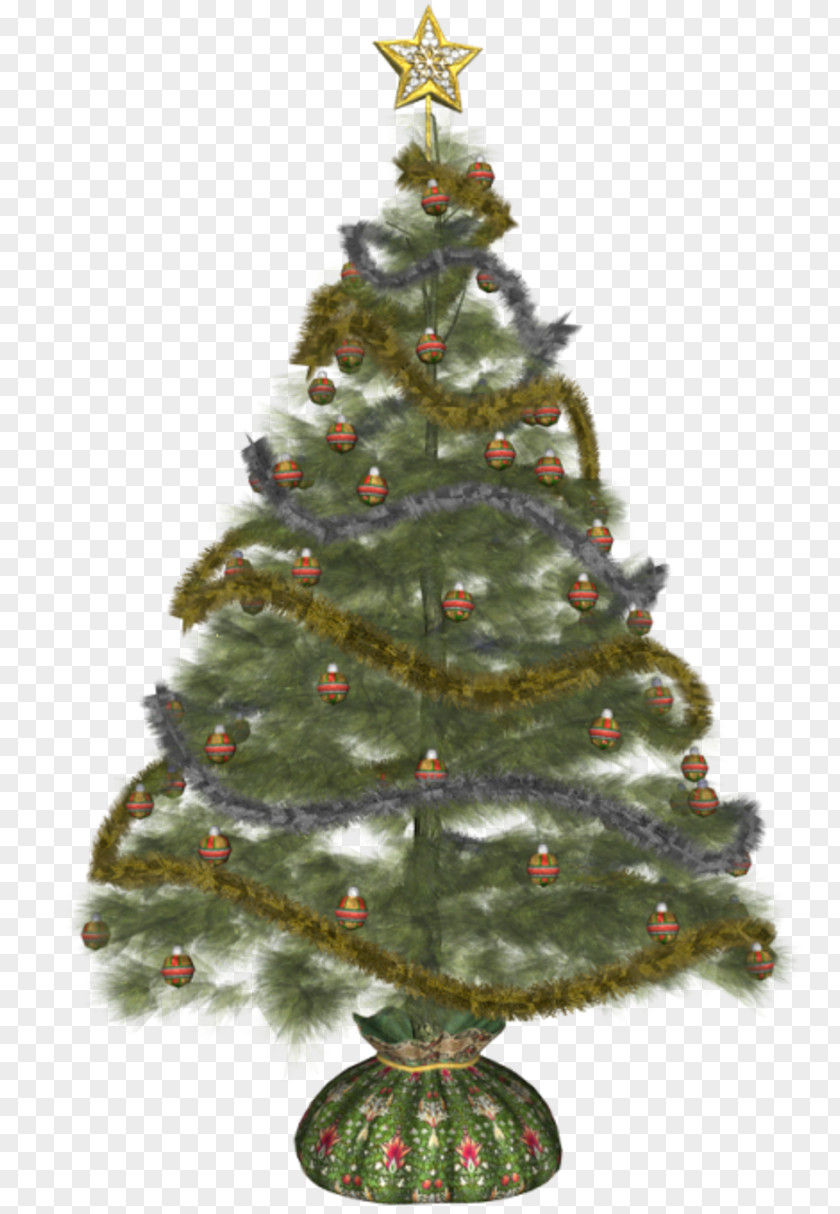 Christmas Tree Ornament Spruce Pine PNG