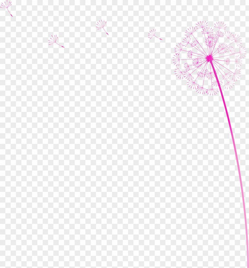 Flower Petal Line Meter Font PNG