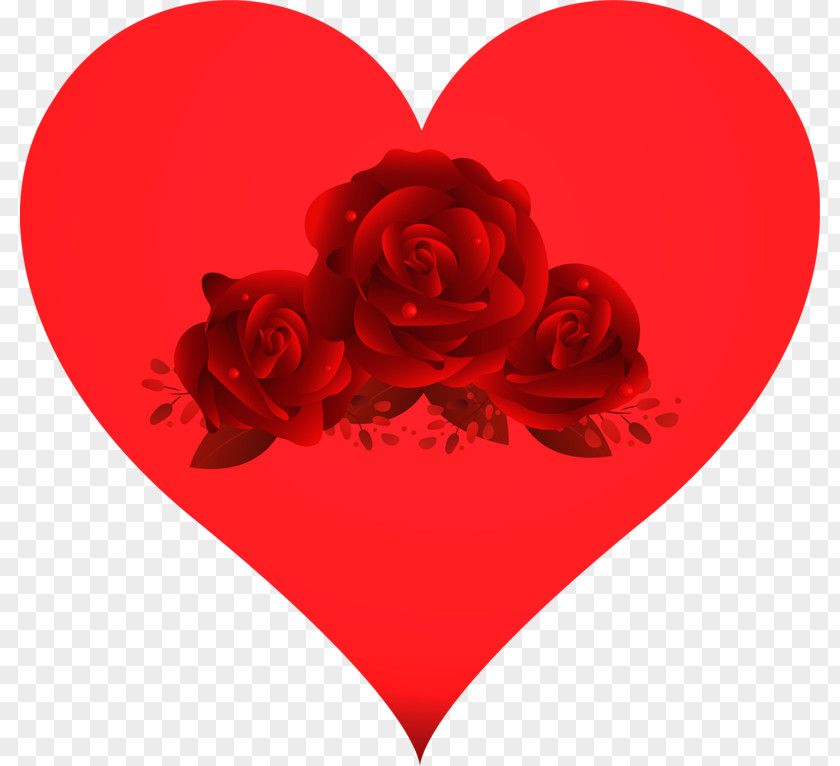 Rose Garden Roses Love Red Heart PNG