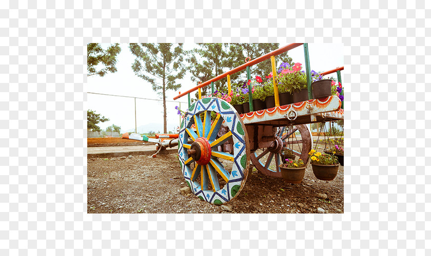 Wheelbarrow Flower Vehicle PNG