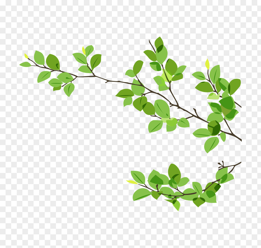 Branches PNG Branches,dry twigs clipart PNG