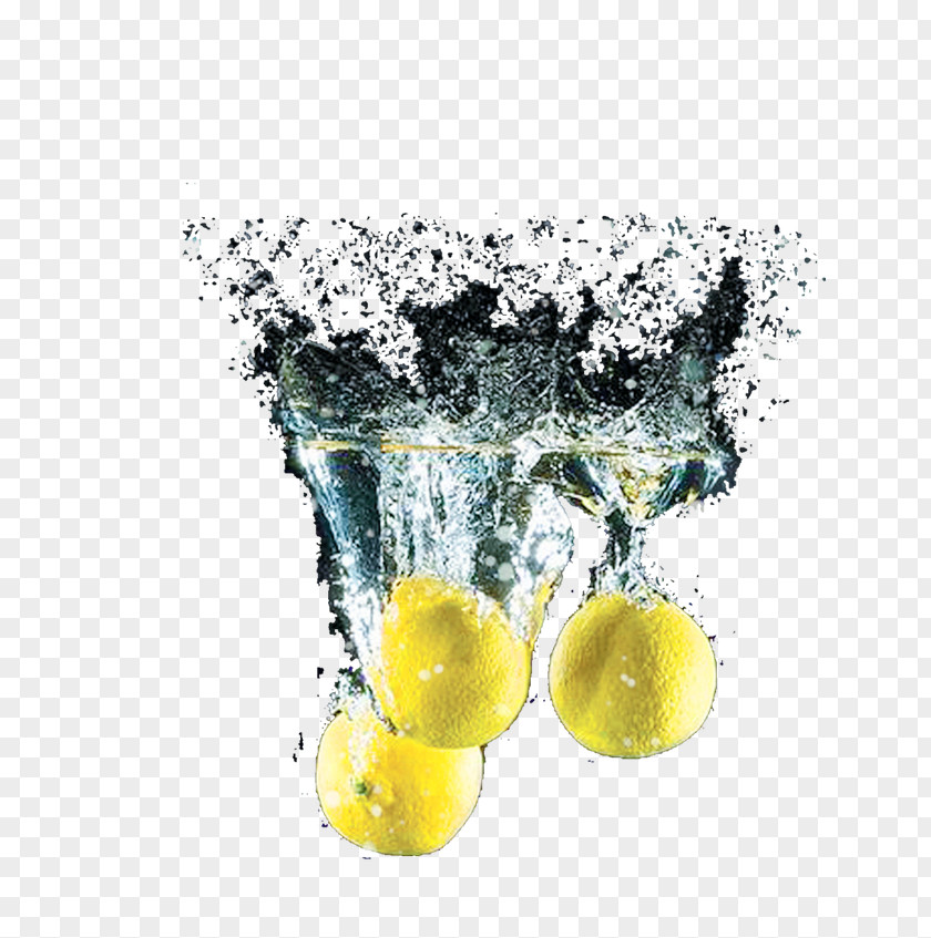 Lemon Image Fruit PNG