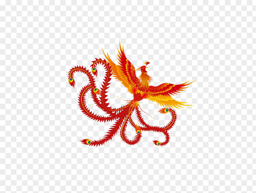 Phoenix China Fenghuang Chinese Dragon Symbol PNG