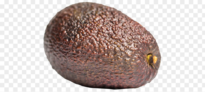 Avocado PNG clipart PNG