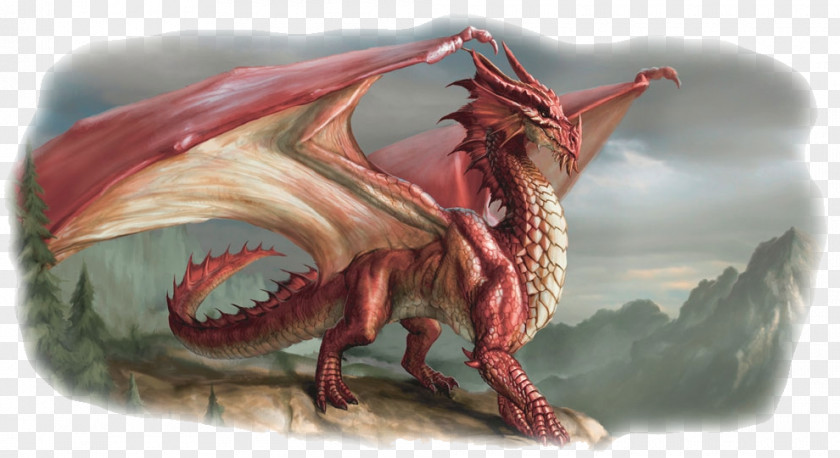 Chromatic Dragons European Dragon Legendary Creature Welsh Chinese PNG