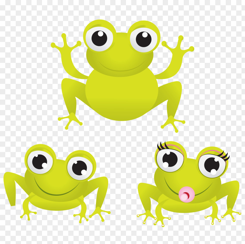 Frog Baby Cartoon Drawing Clip Art PNG
