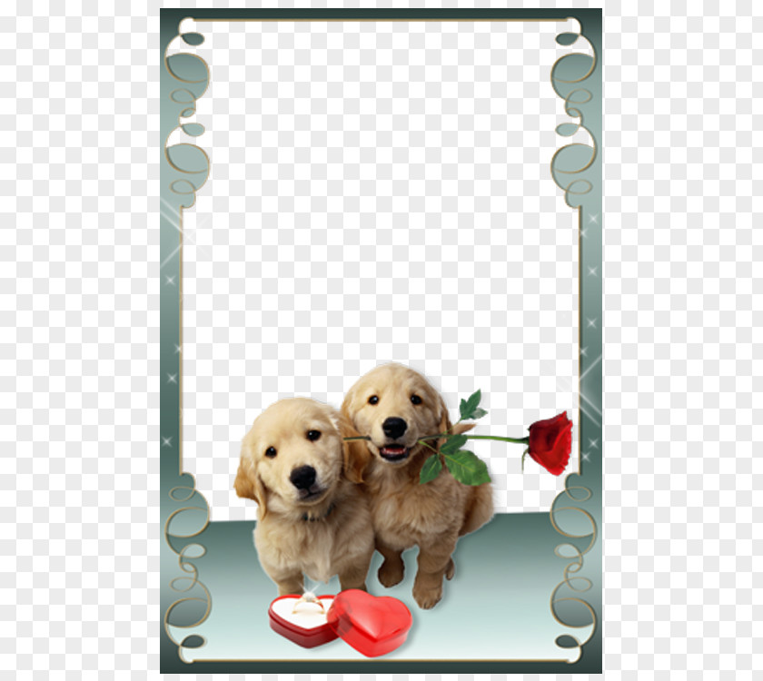 Puppy Valentine's Day Floral Frame Love Photo Frames Picture Photography Android PNG