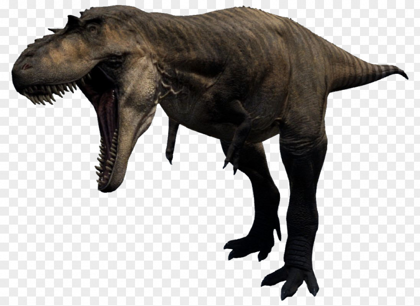 Tyrannosaurus Albertosaurus Velociraptor Carcharodontosaurus Stygimoloch PNG