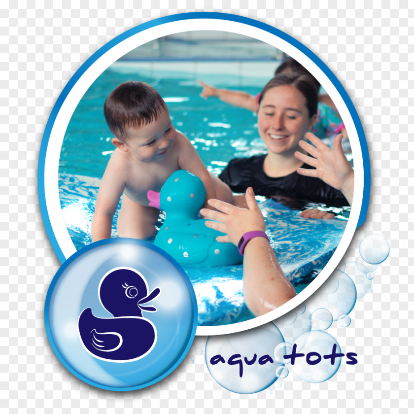 Water Swimming Pool Babies To Kids Lessons Hampton East PNG