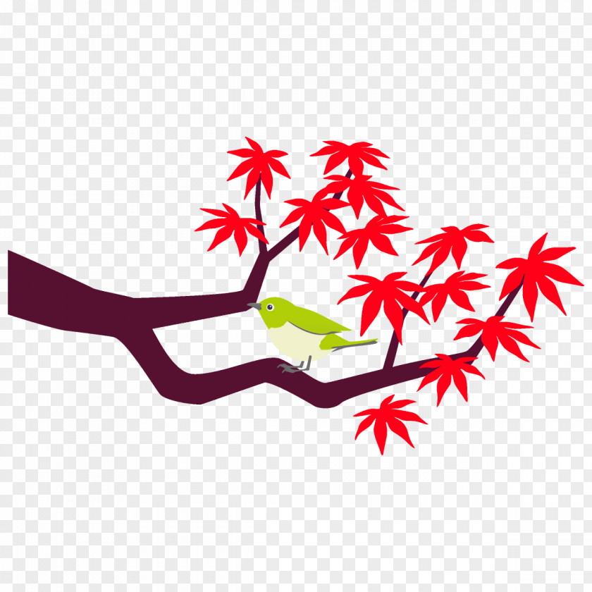 Branch Plant Maple Leaves Autumn Tree PNG