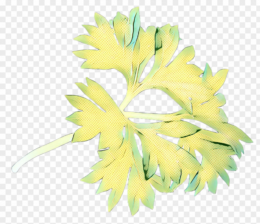 Feather Flower Vintage PNG