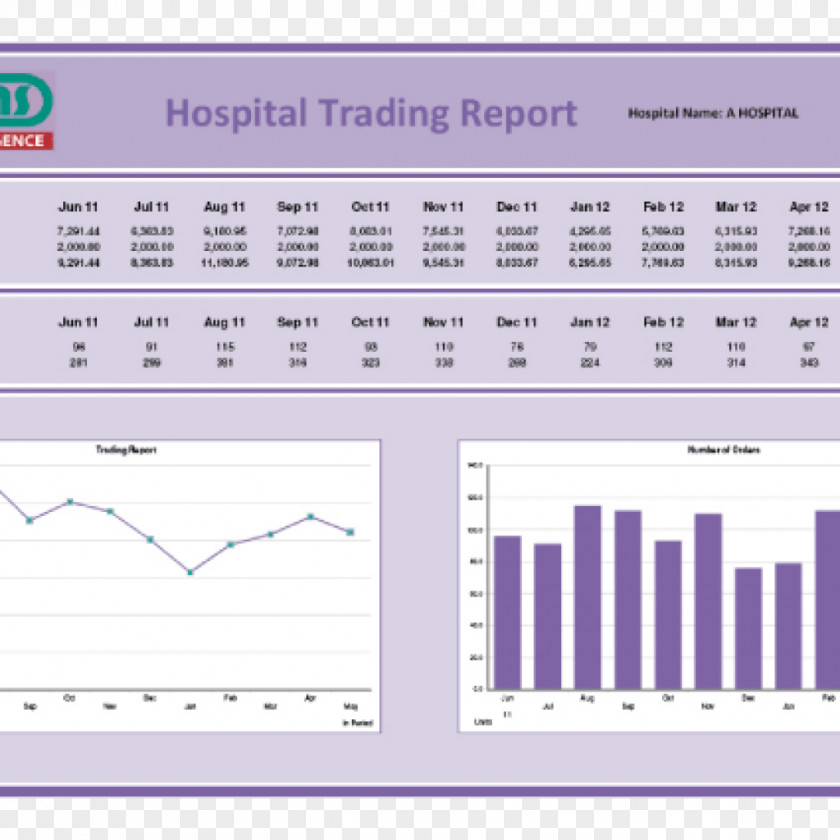 Hospital Pharmacist Business Intelligence Information Report Management PNG