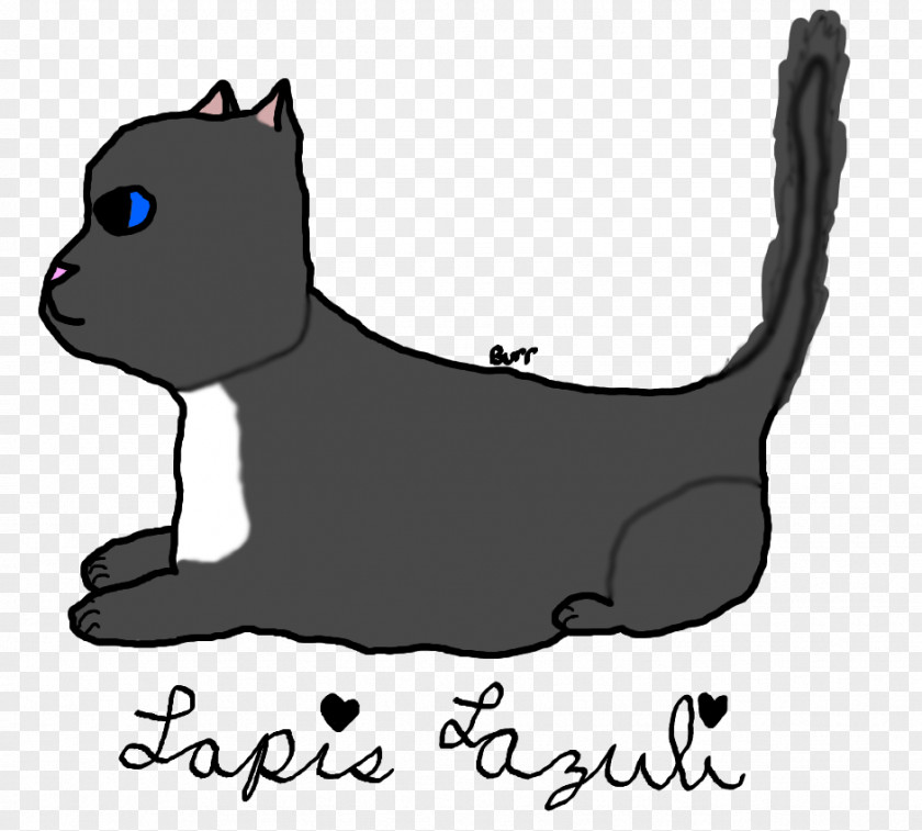 Lapis Lazuli Whiskers Dog Kitten Domestic Short-haired Cat Black PNG