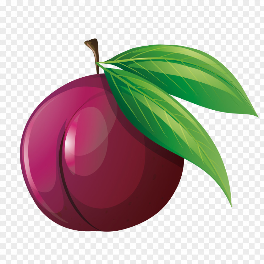 Plum Decoration Illustration PNG