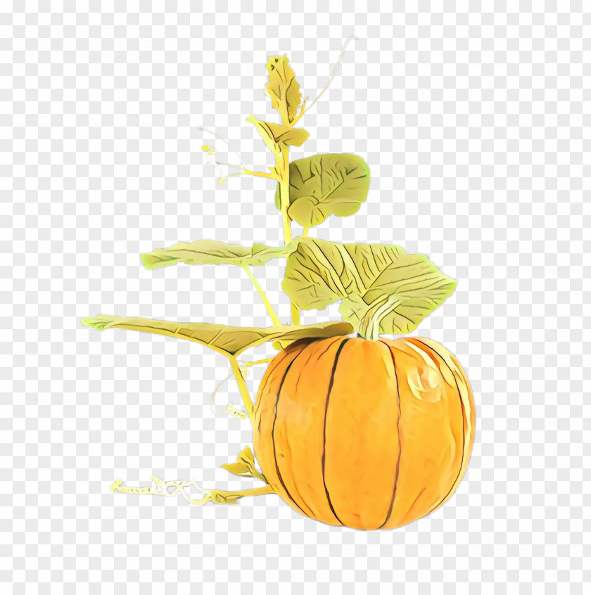 Pumpkin PNG