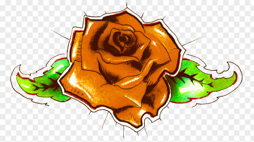 Thump Border Rose Family Illustration Clip Art Flower PNG