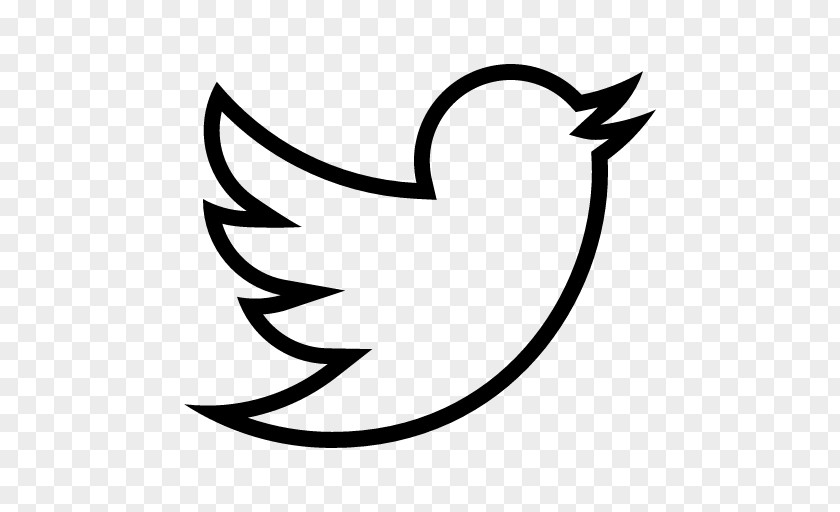 Bird Logo Social Media Clip Art PNG