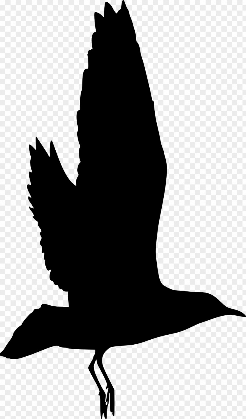 Birds Silhouette Bird Clip Art PNG