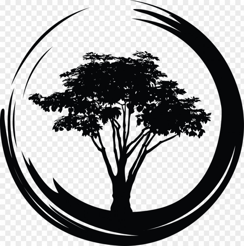 Circle Branch The Breathing Tree Logo Clip Art PNG