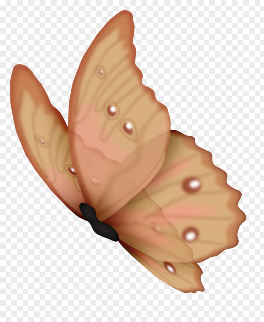 Gurdwara Butterfly Drawing Clip Art PNG