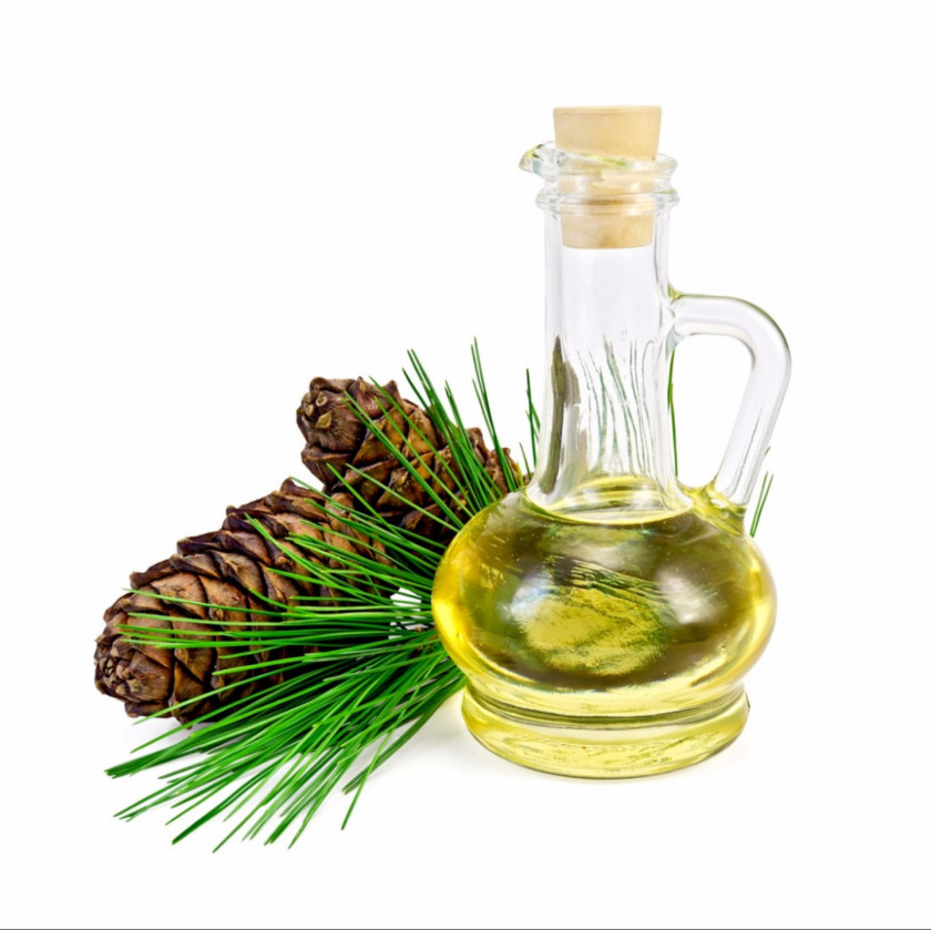 Oil Pine Nut Terpene PNG