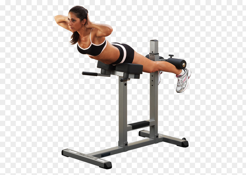 Roman Chair Hyperextension Exercise Strength Training Fitness Centre PNG