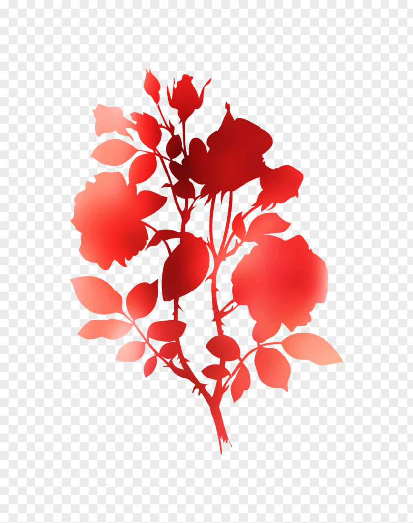 Floral Design Cut Flowers Rose Family PNG
