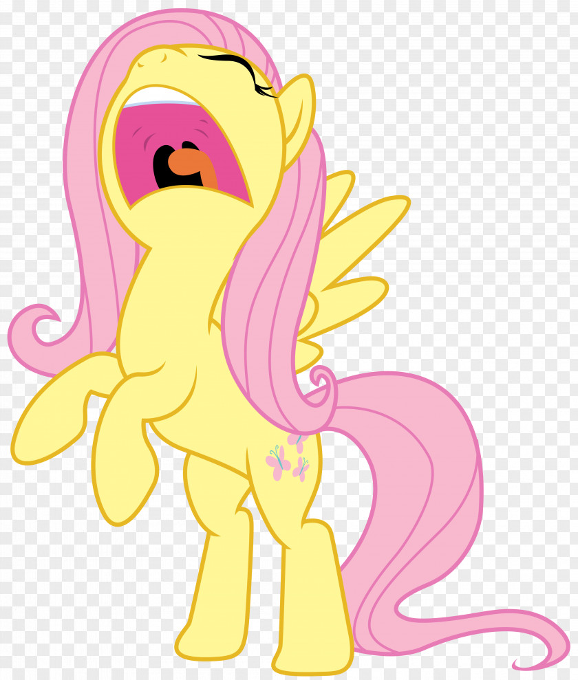 Fluttershy Angry Face Pony Rainbow Dash Pinkie Pie Twilight Sparkle PNG