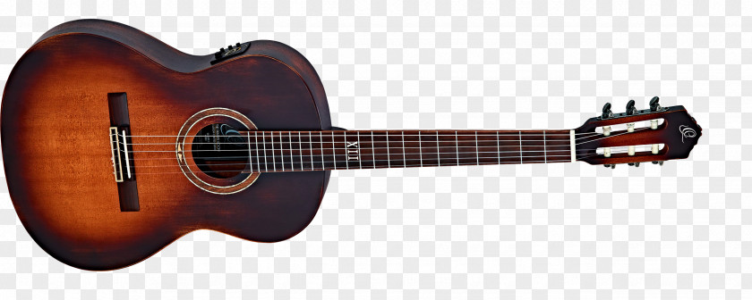 Amancio Ortega Acoustic Guitar Musical Instruments String Classical PNG