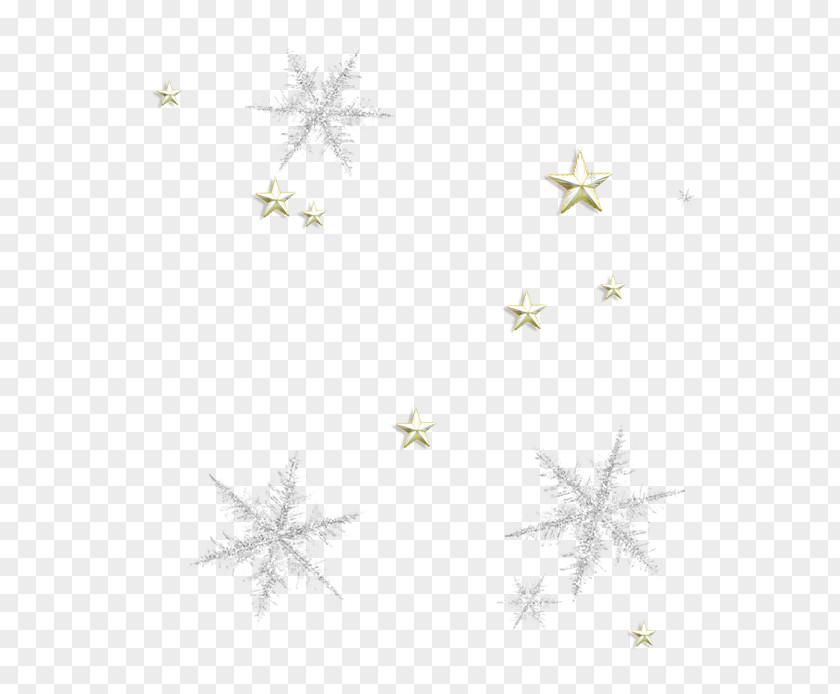 Animation Snowflake Festival Internet PNG