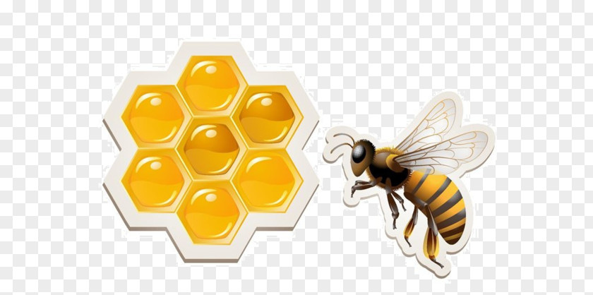 Bee Western Honey Honeycomb PNG