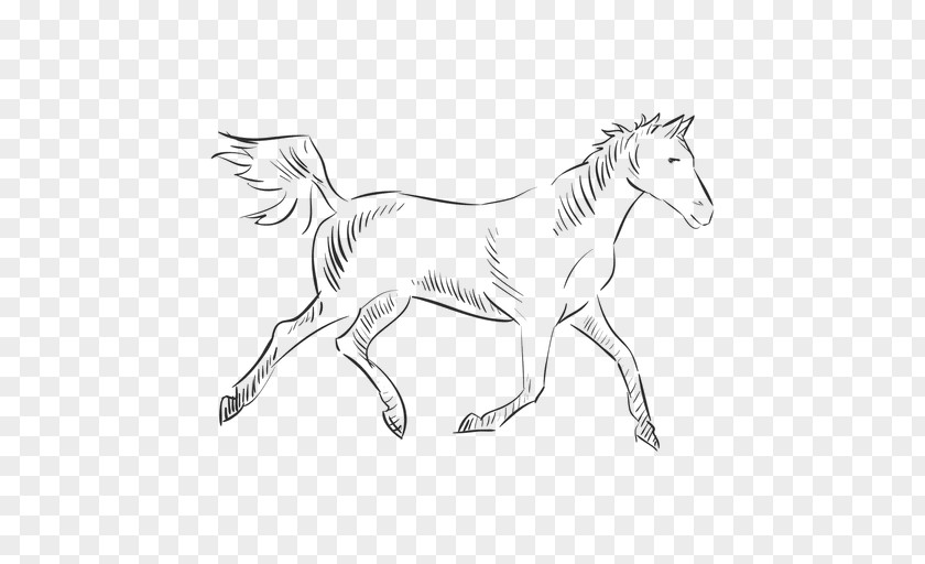 Mustang Mane Pony Colt PNG