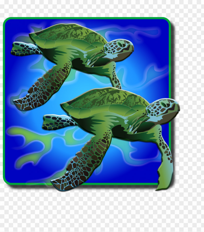 Turtle Loggerhead Sea Ecosystem Marine Biology Fauna PNG