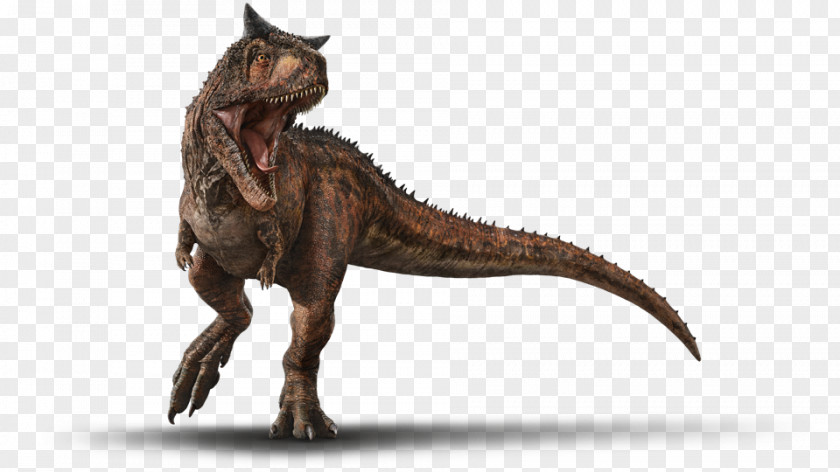 Dinosaur Carnotaurus Tyrannosaurus Jurassic World Evolution Alive Stygimoloch PNG