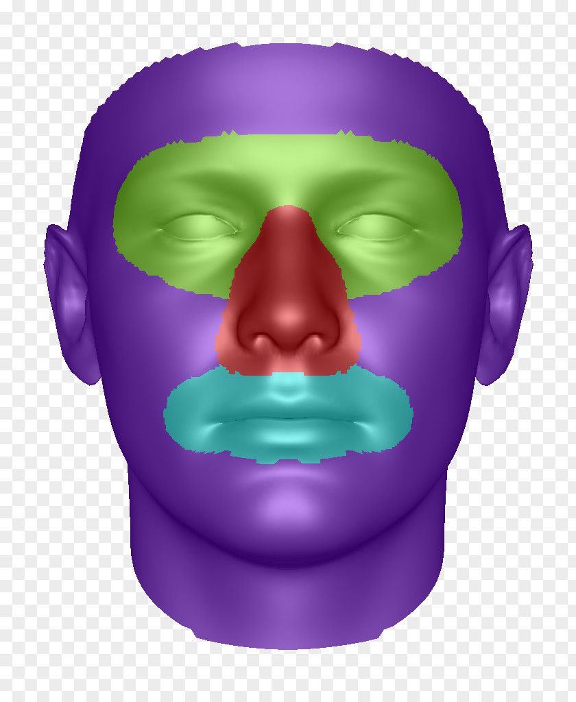 Nose Face Smile Geometry Cheek PNG