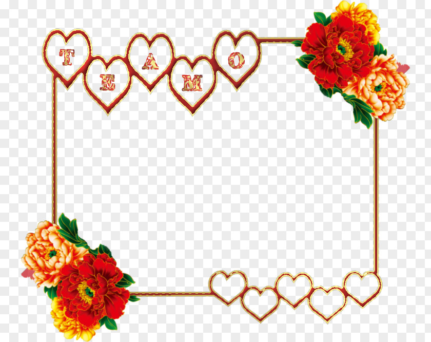 February 14 Picture Frames Floral Design Photography PNG